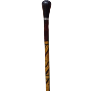 “হাঁটার লাঠি (Walking Stick)”