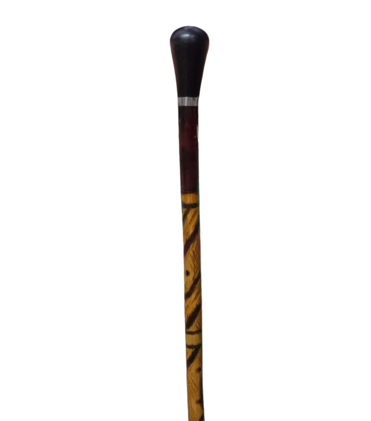 “হাঁটার লাঠি (Walking Stick)”