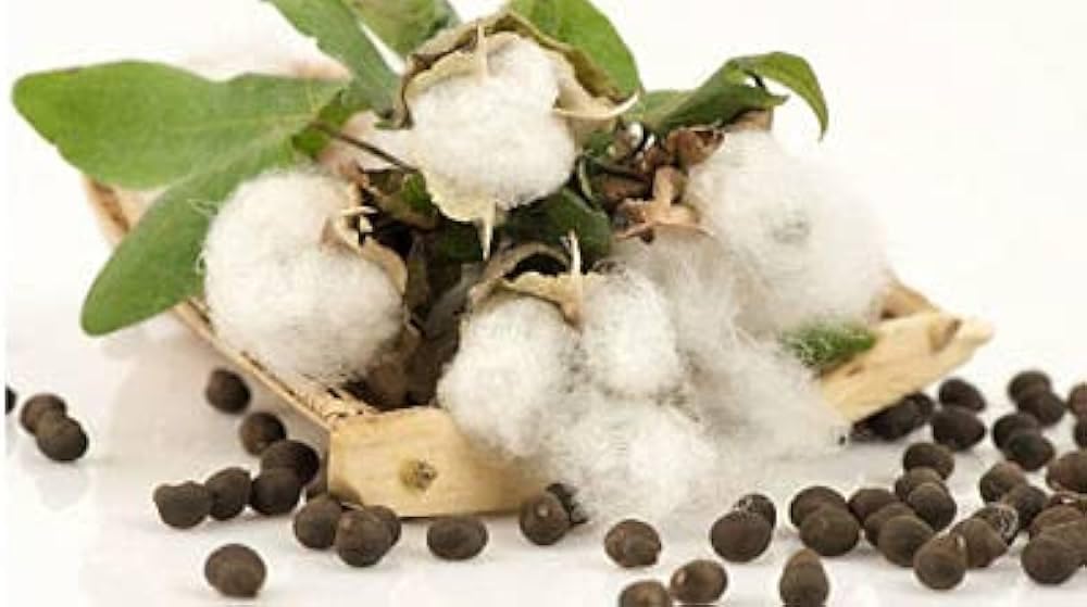 natural kapas cotton 1 kg