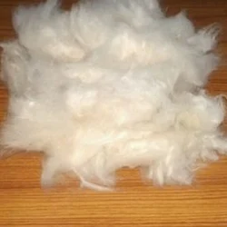 premium shimul tulo cotton